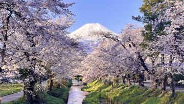 Pemandangan Gunung Fuji di Oshino Hakkai di musim semi
