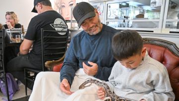 Kafe ular Tokyo Snake  Center  Kafe ular Tokyo Snake  Center