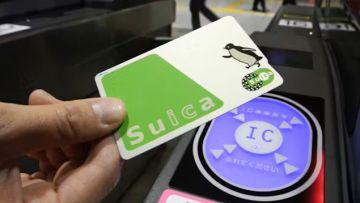 Suica Suica