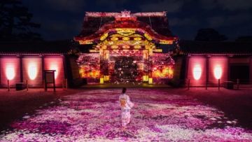 Naked Meets Nijo-jo 2025 Sakura Naked Meets Nijo-jo 2025 Sakura