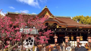 Bunga yang mekar di Kitano Tenmangu (Zenkyoen) Bunga yang mekar di Kitano Tenmangu (Zenkyoen)