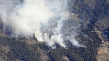 Kebakaran hutan di Jepang Kebakaran hutan di Jepang