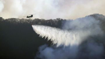 Upaya pemadaman kebakaran hutan di Ofunato melalui udara Upaya pemadaman kebakaran hutan di Ofunato melalui udara