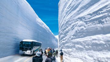 Dinding salju yang memukau di Tateyama Kurobe Alpine Route Dinding salju yang memukau di Tateyama Kurobe Alpine Route
