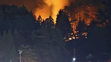 Kebakaran Hutan Iwate Memasuki Minggu Kedua, 2.600 Hektar Lahan Terbakar Kebakaran Hutan Iwate Memasuki Minggu Kedua, 2.600 Hektar Lahan Terbakar