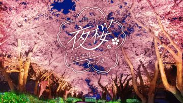 Night Cherry Blossom Jewel Illumination 2025 (PR Times) Night Cherry Blossom Jewel Illumination 2025 (PR Times)