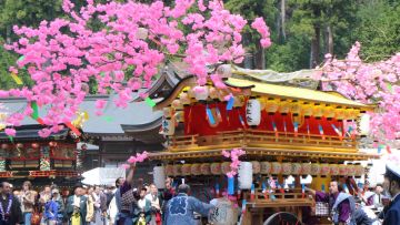 Yayoi Festival Yayoi Festival