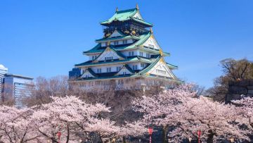 Spot Hanami Terbaik di Jepang Spot Hanami Terbaik di Jepang - Osaka Castle