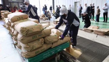 Harga Beras di Jepang Terus Naik, Ini Penyebabnya Harga Beras di Jepang Terus Naik, Ini Penyebabnya