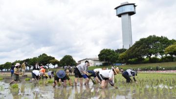 Masyarakat di Kota Gyoda menanam padi (mag.japaaan.com) Masyarakat di Kota Gyoda menanam padi (mag.japaaan.com)
