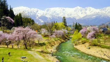 Desa Hakuba Hakuba Golden Week