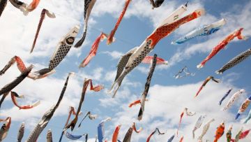Koinobori Festa 1000 di Akutagawa Sakurazutsumi Park (Zekkei Japan) Event di Jepang minggu ini