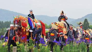 Chagu Chagu Umakko Festival 2025 Chagu Chagu Umakko Festival 2025