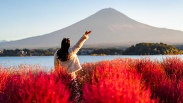 Cara Kirim Koper di Jepang : Liburan Bebas Ribet pakai Takuhabin! Cara Kirim Koper di Jepang : Liburan Bebas Ribet pakai Takuhabin!