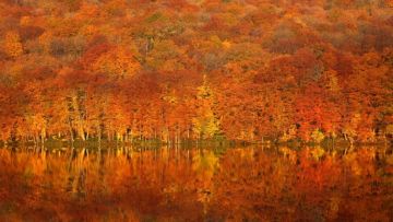 9 Tempat Terbaik Menikmati Musim Gugur di Aomori, Jepang 9 Tempat Terbaik Menikmati Musim Gugur di Aomori, Jepang