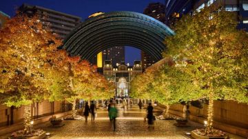 Rekomendasi Spot Tokyo Winter Illuminations 2025