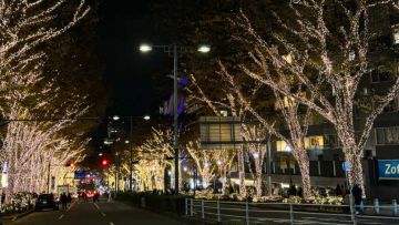 Rekomendasi Christmas Market di Tokyo 2025