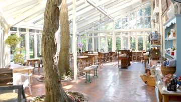 Coba Kafe Tersembunyi di Chiba yang Cocok untuk Pecinta Afternoon Tea 