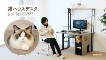 Neko House Desk - Meja Kerja Unik Khusus Pecinta Kucing