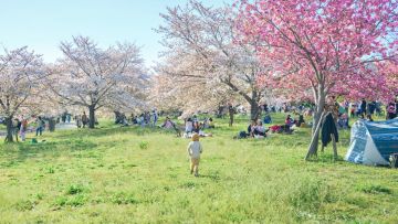 Toneri Park, Adachi, Tokyo. Wawa Wardana/Japanese Station