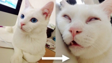 2a itnoabh6n16dpzzmgfwp