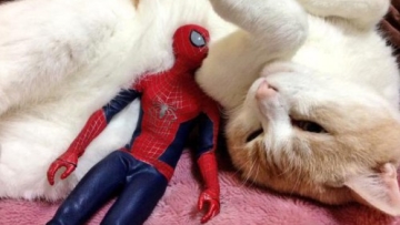 5k iwtpmlvknvy7iq9lzj9y