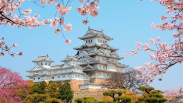 7 Festival bunga sakura paling meriah (2)