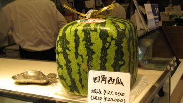 8 Jenis Buah Termahal di Jepang (1)