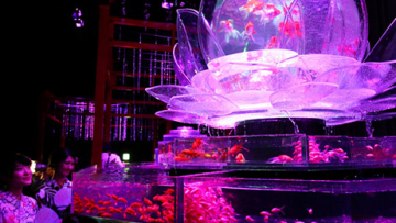 Acara pameran Art Aquarium di Tokyo tampilkan ribuan ikan mas yang menenangkan jiwa