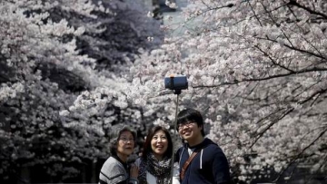 Bulan Ini, Jumlah Turis di Jepang Melonjak Tajam (1)