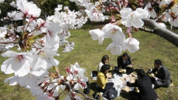 Cara Jepang Gaet Wisatawan Mancanegara