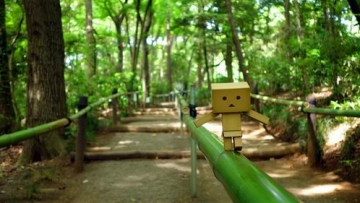 Danbo, si robot kardus mungil, akan memandu kalian ke tempat-tempat yang paling menenangkan di Jepang (4)