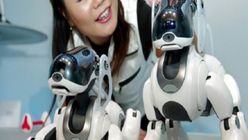 Di Jepang, Robot yang Rusak Dikubur Layaknya Manusia