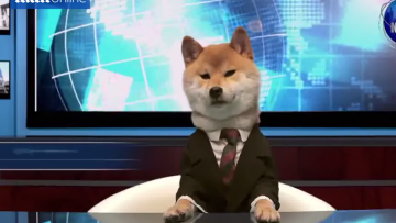 Di Jepang, anjing bisa menjadi pembaca berita yang lebih baik dari manusia (1)