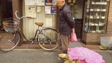 Hewan peliharaan paling santai dan pemiliknya yang sabar terlihat berjalan-jalan di Tokyo