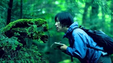 Hobi baru orang-orang di Jepang, memperhatikan lumut untuk bersenang-senang