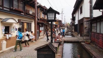 Ikan Koi Hidup Tenang di Sungai Jepang (1)