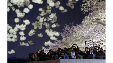 Ini Cara Jepang Pikat Turis Indonesia