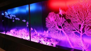 Karya seni unik terbuat dari botol-botol plastik yang menakjubkan (1)