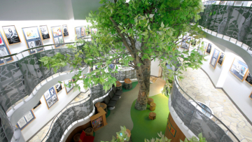 Kota di Akita berencana untuk membuat museum manga 'terbaik di dunia'