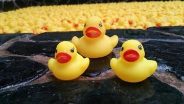 Mandi dengan Ribuan Bebek di Pemandian Umum (1)