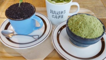 Mau Coba Tanah dan Bonsai yang Bisa Dimakan Ini (1)