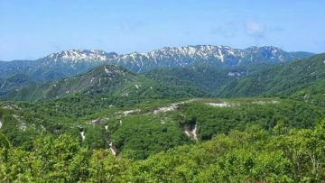 Menjelajahi Hutan Purba di Jepang (2)