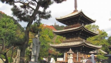 Perjalanan Menyenangkan di Matsuyama, Jepang (4)