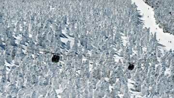 Pohon-pohon es di Gunung Zao Jepang menciptakan tampilan yang sangat indah