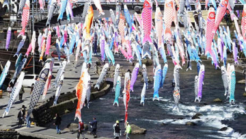 Ribuan 'koinobori' berenang di antara angin menyambut musim semi di Kumamoto, Jepang