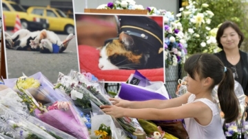 Sebanyak 3000 orang menghadiri pemakaman Tama, kucing penjaga stasiun di Jepang (2)