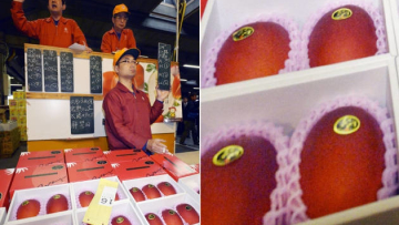 Seorang pria di Jepang membeli sepasang buah mangga seharga 300.000 yen