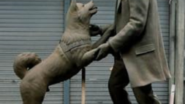 Setelah 80 tahun, akhirnya Hachiko dipersatukan lagi dengan tuannya (2)