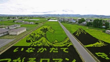 Simlabim! Sawah Disulap Jadi Lukisan di Jepang (1) Simlabim! Sawah Disulap Jadi Lukisan di Jepang (1)